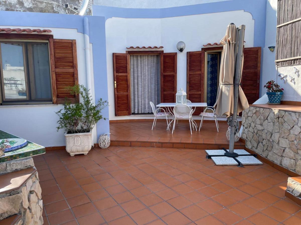 La Vite * Ponza